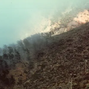fog spot, Isla de Cedros