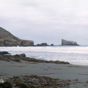 beach on Natividad Island
