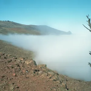 coastal fog, northeast side of Guadalupe Island