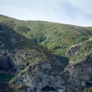 North side of West Anacapa Island