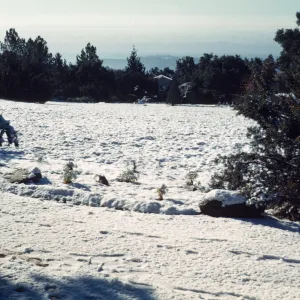 Meadow from north; snow, January 1949