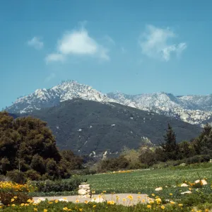 SBBG Meadow, (Meadow 1940s-1950s)