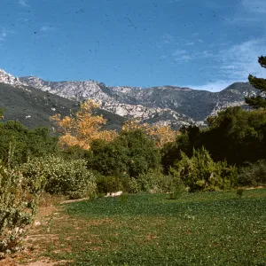 upper meadow and Santa Ynez Mountains; (Meadow 1940s-1950s)