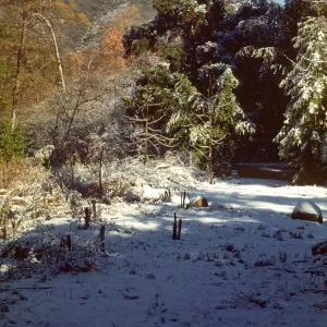 Snow in Garden, SBBG Meadow