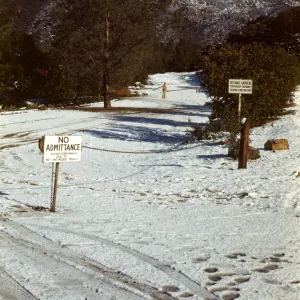 SBBG parking lot covered in snow, January 1949