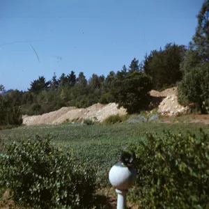 SBBG Meadow and sundial, 1940's