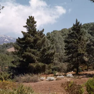 top of Meadow?