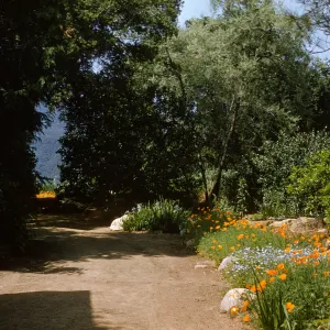 Lower meadow; (Meadow 1940s-1950s)