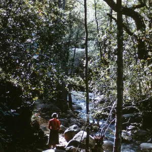 Canyon Trail along Mission Creek