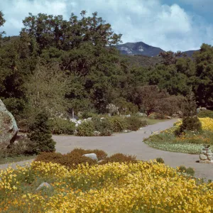 Meadow, Blakelsy Boulder, pond, sundial, 1945