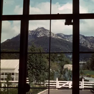 Garden through Library Window
