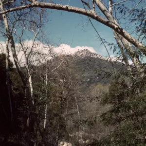 Mission Creek, looking toward Arlington Peak 