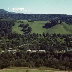 Garden overview