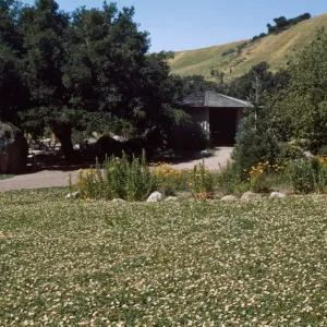 Information Center and Blaksley Boulder