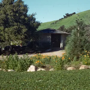 Information Kiosk, strawberry in meadow