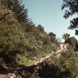 Campbell trail