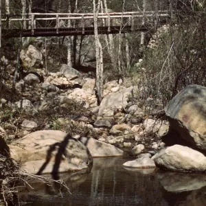 Campbell Bridge