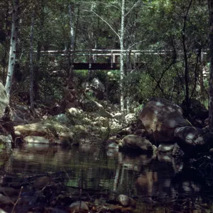 Campbell Bridge