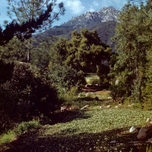 Original Island Trail