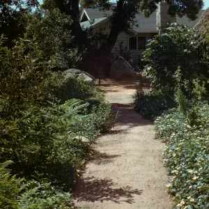 path to the front of the Cottage (before new Herbarium building)