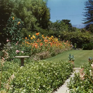 Mrs. Dillingham's Garden