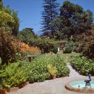 Mrs. Dillingham's Garden