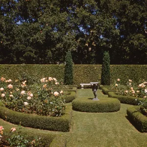 formal rose garden