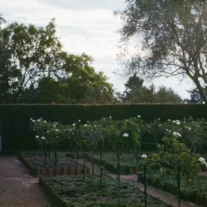 Leadbetter Gardens, Santa Barbara, Las Tejas