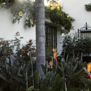 Fleming Gardens, Santa Barbara