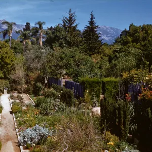 De Forest Garden?