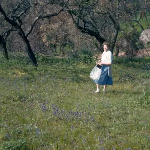 Katherine Muller, Rattlesnake Canyon