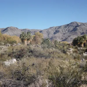Andreas Canyon