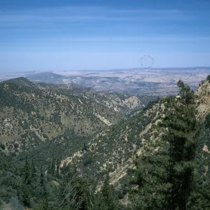 Sespe chaparral