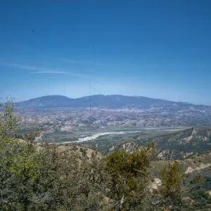 Chaparral