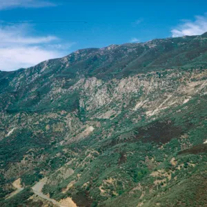 Sespe