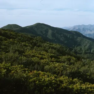 Figueroa Mountain