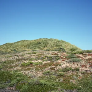 sand dunes, Point Reyes
