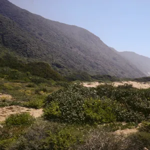 sand dunes, near Point Mugu