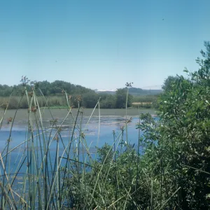 Oso Flaco Lake