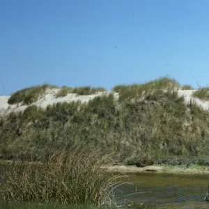 Oso Flaco Lake