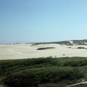 Oso Flaco dunes