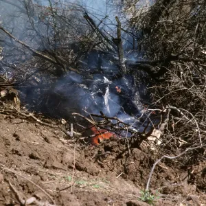 Coyote Fire 1964, fuel break