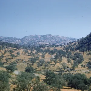 oak savanna, western Sierras