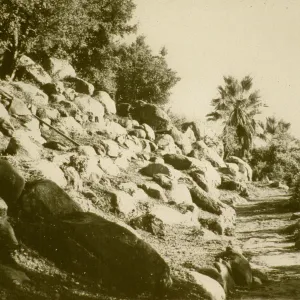 renovated Campbell Trail 1961
