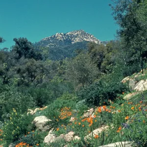 Campbell Trail 1963