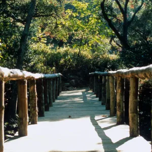 Campbell Bridge