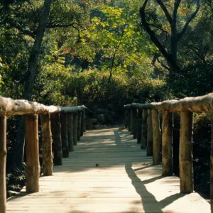 Campbell Bridge