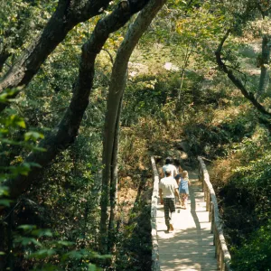 visitors walk across the Campbell Bridge