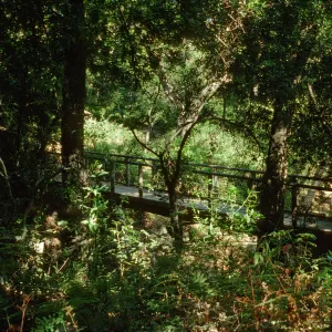 Campbell Bridge 1993