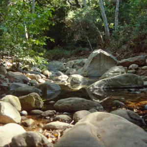 Mission Creek